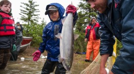 In the Heart of Alaska's Salmon Stronghold